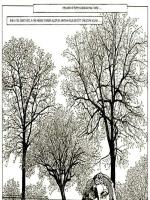 110 szextabletta - Erotikus képregény - 47. oldal