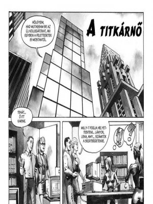 A titkárnő - Erotikus képregény - 3. oldal