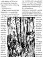 A vadászat - Erotikus képregény