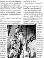 A vadászat - Erotikus képregény - 6. oldal