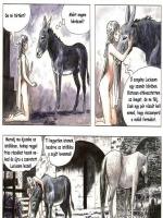 Az arany szamár - Erotikus képregény - 27. oldal