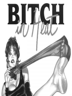 Sztriptíz - Erotikus képregény