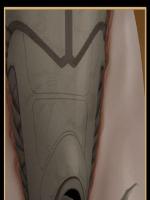 Naked earth 4. rész - Erotikus képregény - 43. oldal