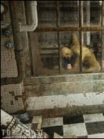 Szökés kizárva - Erotikus képregény - 7. oldal