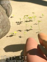 A dosszié 2. rész - Bárcsak itt lennél - Erotikus képregény - 47. oldal