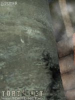 A dosszié 7. rész - Batutut öröksége - Erotikus képregény - 61. oldal