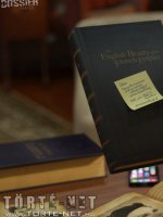 A dosszié 12. rész - Kidőlve - Erotikus képregény - 8. oldal