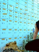 Rablás - Erotikus képregény - 9. oldal