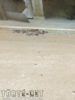 Szórakoztató vadászat - Erotikus képregény - 15. oldal Szórakoztató vadászat - Erotikus képregény - 15. oldal