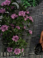 Szerencsés banditák 4. rész - Erotikus képregény - 38. oldal