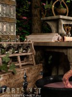 Az alkimista segédje 1. rész - Erotikus képregény - 8. oldal