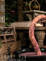 Az alkimista segédje 1. rész - Erotikus képregény - 9. oldal