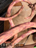 Az alkimista segédje 1. rész - Erotikus képregény - 21. oldal