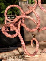 Az alkimista segédje 1. rész - Erotikus képregény - 43. oldal