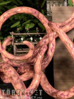 Az alkimista segédje 1. rész - Erotikus képregény - 44. oldal