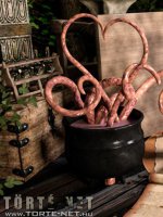 Az alkimista segédje 1. rész - Erotikus képregény - 46. oldal