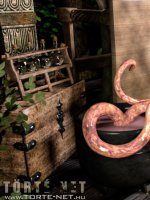 Az alkimista segédje 1. rész - Erotikus képregény - 47. oldal