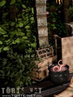 Az alkimista segédje 1. rész - Erotikus képregény - 48. oldal