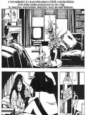 Sevilla, mi amor - Erotikus képregény - 2. oldal