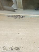 Counter-Strike - Erotikus képregény - 17. oldal