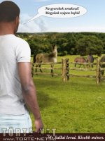 Marcus, a lovász 1. rész - Erotikus képregény - 24. oldal