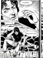 A disznó 2. rész - Sertés ösztönök - Erotikus képregény - 14. oldal