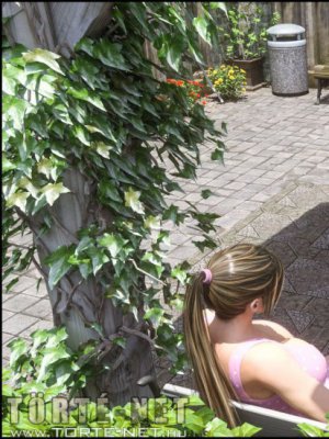 Dickgirls 12. rész - Erotikus képregény