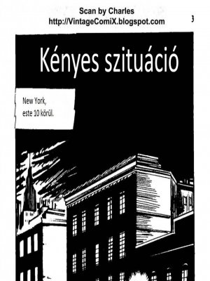 A disznó 3. rész - Kényes szituáció - Erotikus képregény
