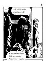 A disznó 4. rész - Baljós éjszaka - Erotikus képregény - 12. oldal