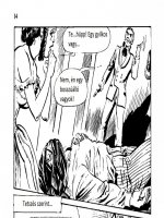 A disznó 4. rész - Baljós éjszaka - Erotikus képregény - 13. oldal