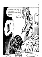 A disznó 4. rész - Baljós éjszaka - Erotikus képregény - 14. oldal