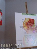 Felvilágosítás - Erotikus képregény