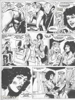 Cicciolina - A középiskolai tanár - Erotikus képregény - 12. oldal