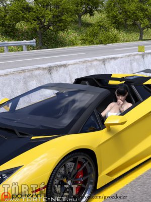 Rendőri ellenörzés