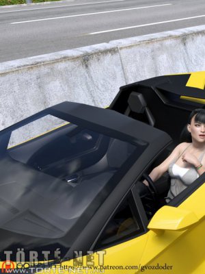 Rendőri ellenörzés - Erotikus képregény