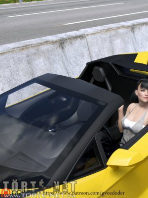 Rendőri ellenörzés - Erotikus képregény