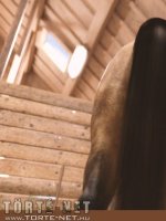 Marcus, a lovász 2. rész - Erotikus képregény - 100. oldal