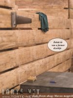 Marcus, a lovász 2. rész - Erotikus képregény - 101. oldal