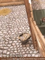 Marcus, a lovász 2. rész - Erotikus képregény - 102. oldal