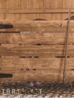 Marcus, a lovász 2. rész - Erotikus képregény - 103. oldal