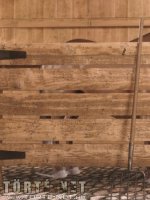 Marcus, a lovász 2. rész - Erotikus képregény - 105. oldal