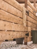 Marcus, a lovász 2. rész - Erotikus képregény - 47. oldal