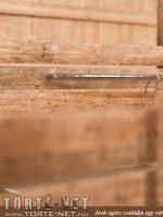 Marcus, a lovász 2. rész - Erotikus képregény - 98. oldal