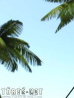 Golfozás közben - Erotikus képregény - 15. oldal