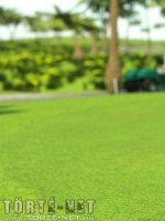 Golfozás közben - Erotikus képregény - 27. oldal