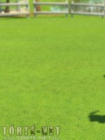 Golfozás közben - Erotikus képregény - 53. oldal