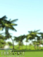 Golfozás közben - Erotikus képregény - 54. oldal