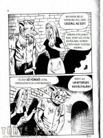 A disznó 9. rész - Nem tervezett erőszak - Erotikus képregény
