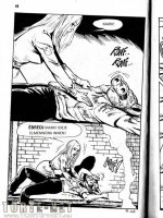 A disznó 9. rész - Nem tervezett atrocitás - Erotikus képregény - 25. oldal