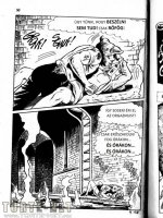 A disznó 9. rész - Nem tervezett atrocitás - Erotikus képregény - 31. oldal